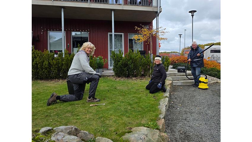 Arbete i trädgården